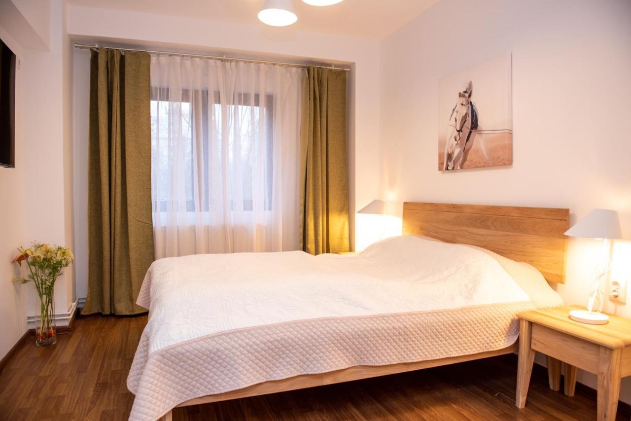 Classic Apartment Near The City Center Cluj-Napoca Exterior photo
